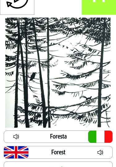 foresta_gioiamarchegiani