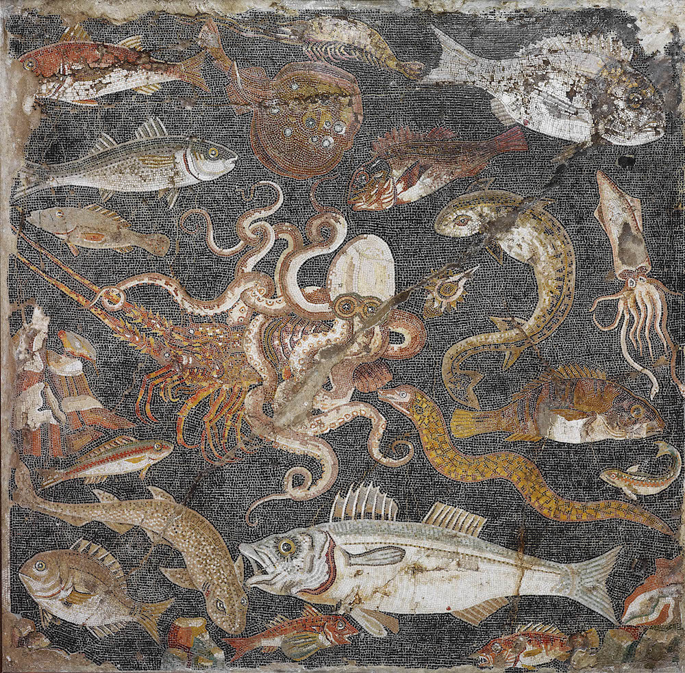 Fish (c) Museo Archeologico Nazionale di Napoli
