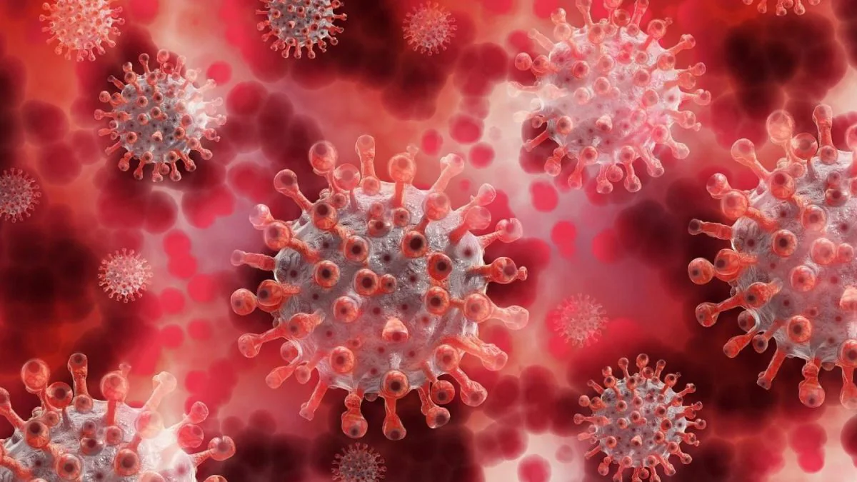 A maggio 2025, la variante LP.8.1 del SARS-CoV-2 sta mostrando una diffusione crescente in Italia. È associata ai sintomi classici del virus