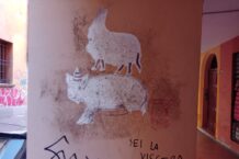 graffito a Bologna