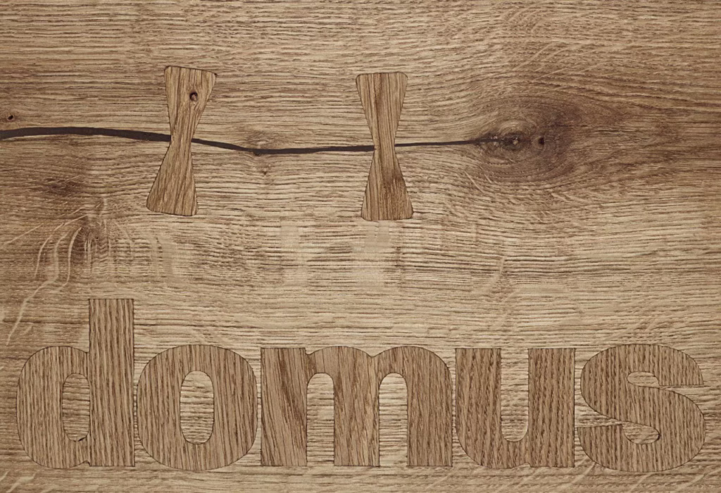 L'ultimo numero di Domus è dedicato al legno