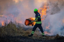 emergenza incendi
