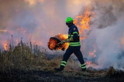 emergenza incendi