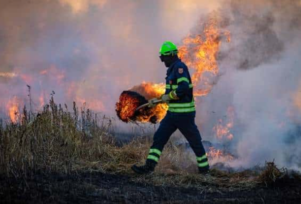 emergenza incendi