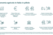 Nel report sul comparto agroalimentare italiano 2025 di BPER si evidenzia la leadership italiana nel settore, ma anche le sfide che riguardano il prossimo futuro