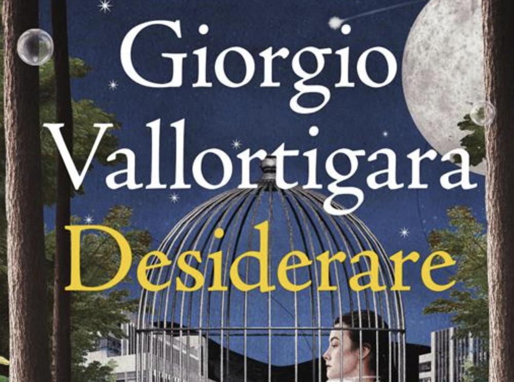 La cxopertina di Desiderare, il primo romanzo di Giorgio Vallortigara