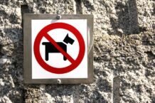 cartello di divieto di accesso ai cani