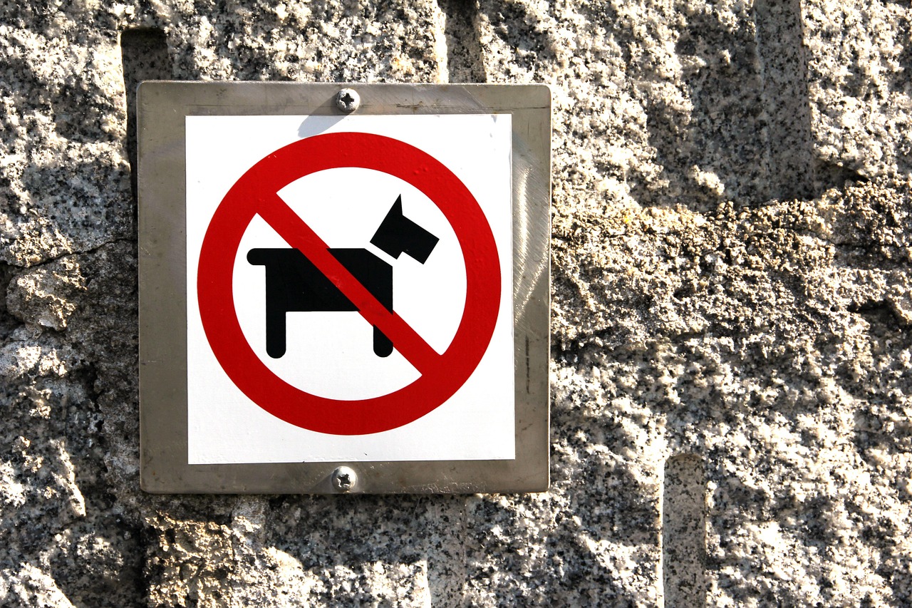 cartello di divieto di accesso ai cani