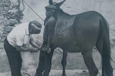 Il maniscalco Natale Fina all'opera nelle bottega di Castelbuono, in provincia di PalermoIl maniscalco Natale Fina all'opera nelle bottega di Castelbuono, in provincia di Palermo. Raccontiamo qui la storia di Giuseppe Gandini
