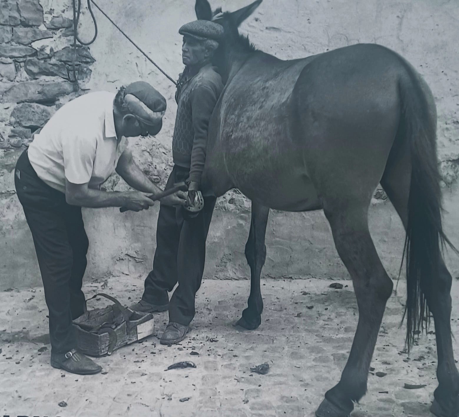 Il maniscalco Natale Fina all'opera nelle bottega di Castelbuono, in provincia di PalermoIl maniscalco Natale Fina all'opera nelle bottega di Castelbuono, in provincia di Palermo. Raccontiamo qui la storia di Giuseppe Gandini