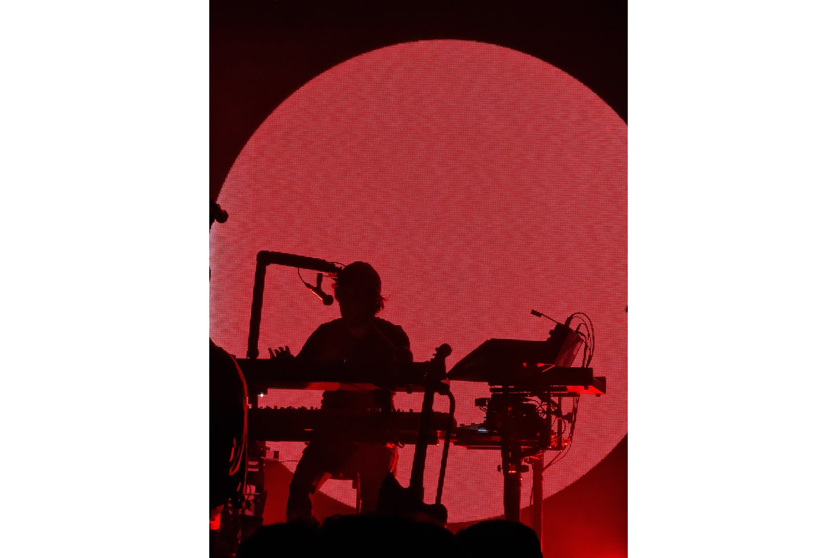 I Cani concerto Atlantico silhouette