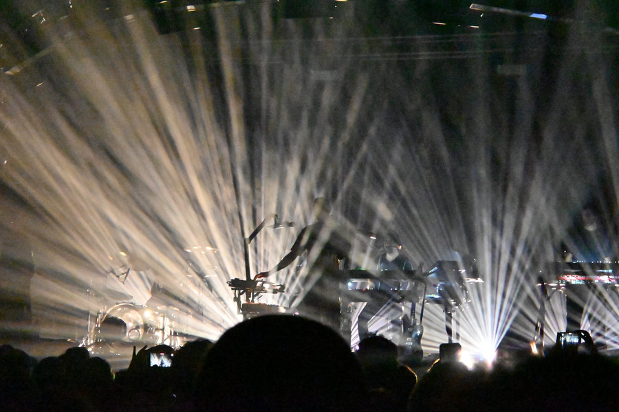 Niccolo Contessa concerto I Cani