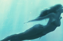 Un'immagine di Parthenope, di Paolo Sorrentino, distribuito da Piperfilm che ha siglato un accordo con TimVision
