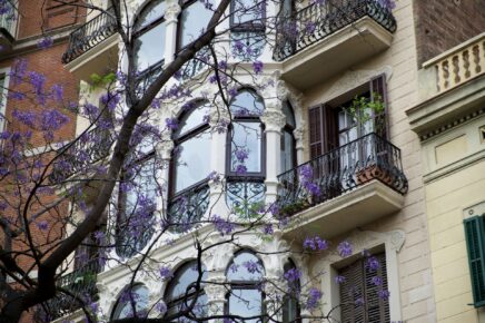 scorcio di un palazzo con balconi e fiori